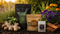 Caribbean Tea Blend